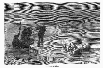 "Охота на медведя".
Иллюстрация к очерку: Немирович-Данченко В. И. Мезенская тундра // Живописная Россия / под общ. ред. П. П. Семенова. – Т. 1, ч. 1 : Северная Россия. - СПб. ; М., 1881. – С. 61 – 104.