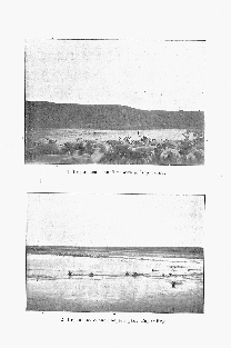 Иллюстрация к книге: Керцелли С. В. По Большеземельской тундре с кочевниками / С. В. Керцелли. – Архангельск : Архангельская губернская типография, 1911.